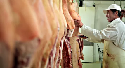 Slaughterhouse 
