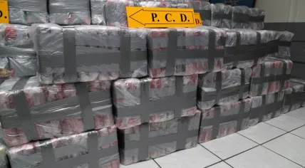 1,250 kilos of cocaine destined for the Netherlands seized at the port of Limon in Costa Rica, May 2020