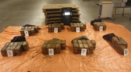 Bricks of cocaine found hidden in a shipment of VW Beetles.