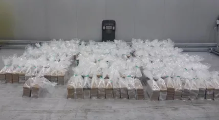 151 million euros in cocaine found in a banana shipment from Ecuador