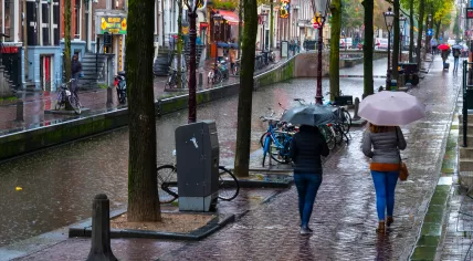 Rainy day in Amsterdam