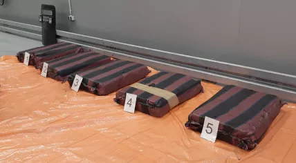 374 kilograms of cocaine discovered in a shipment of bananas from Ecuador on May 31, 2020