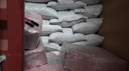390 kilograms of cocaine in a cocoa bean shipment found at Rotterdam port. July 28, 2020