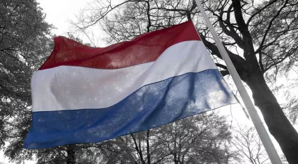 Dutch flag hanging at half-mast