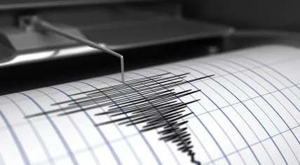 Seismograph showing earthquake activity