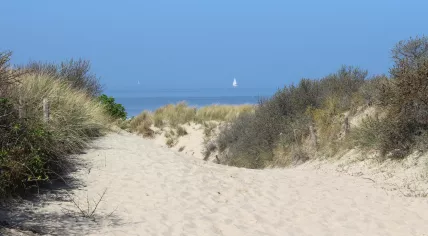 On the way to the beach in Cadzand-Bad