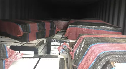 Bundles of cocaine found in a sea container full of tinned tuna fish. June 30, 2020
