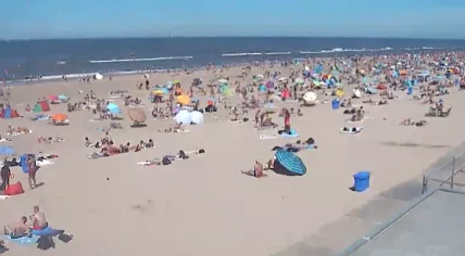 Beachgoers filled up the sand at Castricum, Noord-Holland. 31 July 2020