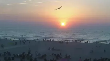 Scheveningen Beach at sunset. 