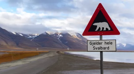 A polar bear warning sign at the edge of Longyearbyen on Spitsbergen Island