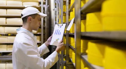 Food quality inspector