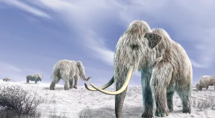 Depiction of a mammoth