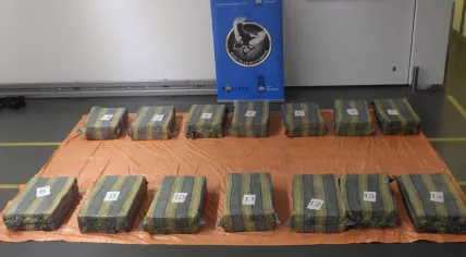 1,100 kilos cocaine found at Rotterdam port in banana shipment from Ecuador, 16 August 2020