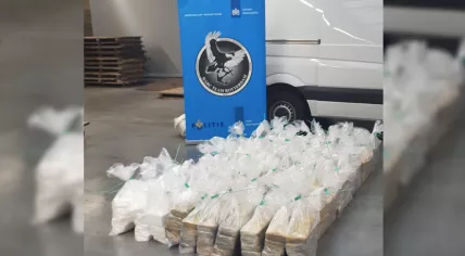 600 kilos of cocaine found at Rotterdam port in a chemical shipment from Brazil, 17 August 2020