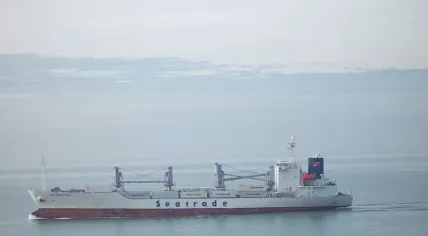 Seatrade reefer "Buzzard Bay"