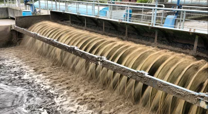 Sewage treatment plant