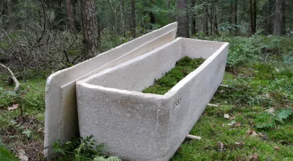 Loop of Life living coffin