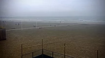 Dog walkers and beach lovers started arriving at the Hoek van Holland coast just after sunrise. 3 January 2020