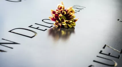 Flowers for Holocaust Remembrance