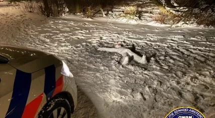 Weird snowman in Amsterdam's Oosterpark