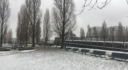 A blustery, snowy day in Amsterdam Oost. 7 Feb. 2021