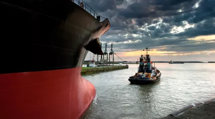 Ship in the harbor