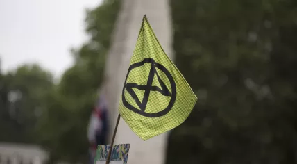 Flag of the Extinction Rebellion movement