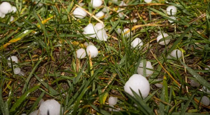 Hail