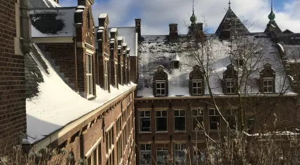 Snow in Amsterdam, 9 February 2021