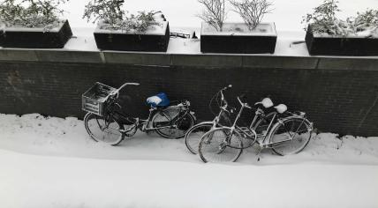 Bicycles covered in snow