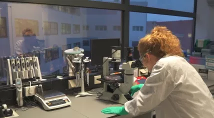 Inside the Leiden laboratory of Janssen Vaccines. Undated