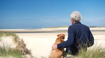 Man and dog enjoying some sunshine on a dune