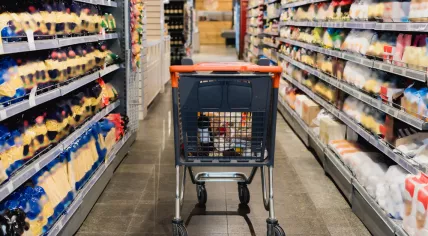 Grocery shopping