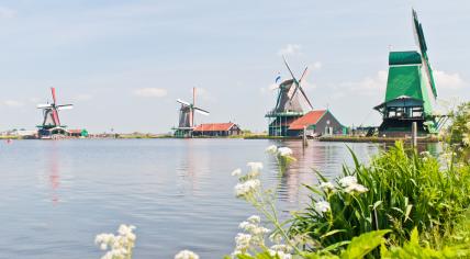 Traditional Dutch windmills on a sunny day.