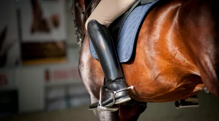 horseback riding