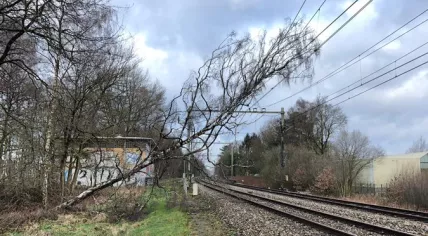 Tree blown onto overhead lines on the railway between Utrecht and Amsterdam, 11 March 2021