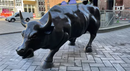 The bull statue in front of the stock exchange at Beursplein 5, home of Euronext Amsterdam. 19 March 2021