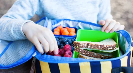 A child at a school lunch.
