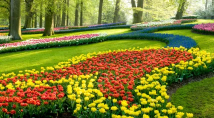 A view of the Keukenhof garden.