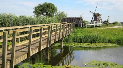 A bridge at Kinderlijke Molen on a sunny day.