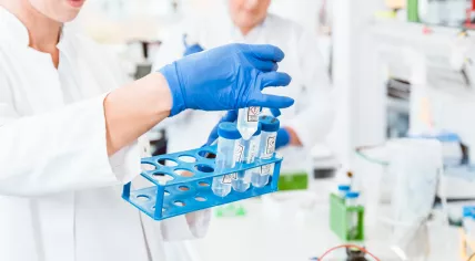 Scientists studying test tube
