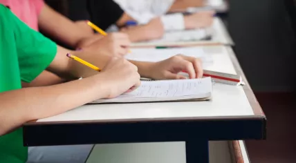 Pupils during a school lesson.