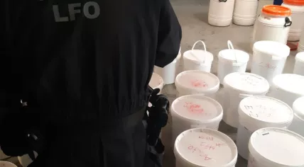 Crystal Meth lab in Arnhem