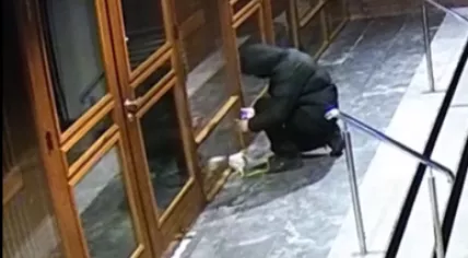 Image of the attack suspect.