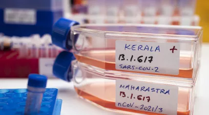 The research of a coronavirus strain first identified in India.