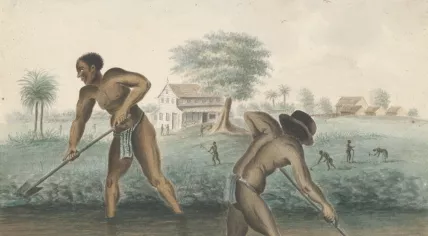 "Enslaved Men Digging Trenches" 1850