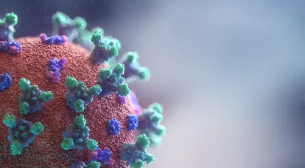 New visualisation of the Covid-19 virus