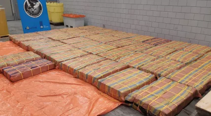 3,001 kilos of cocaine found at the port of Rotterdam, hidden in a banana puree shipment from Ecuador, 14 July 2021