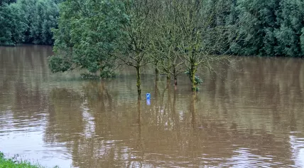 Flooding in De Oude Beemden, a park in Venlo between the Maas River and Professor Gelissensingel. 16 July 2021