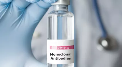 Monoclonal antibodies against Covid-19